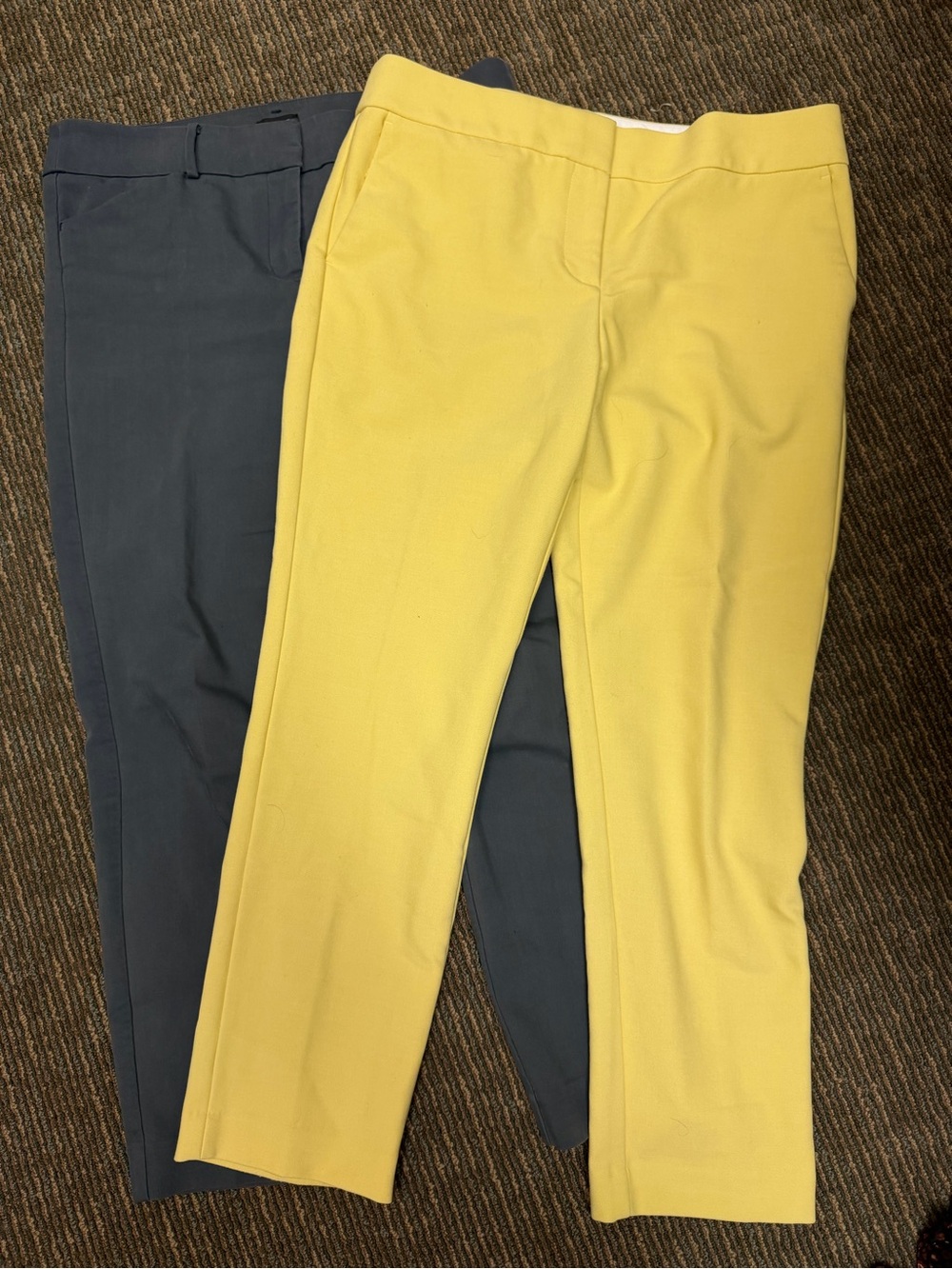 LOFT Pants Bundle